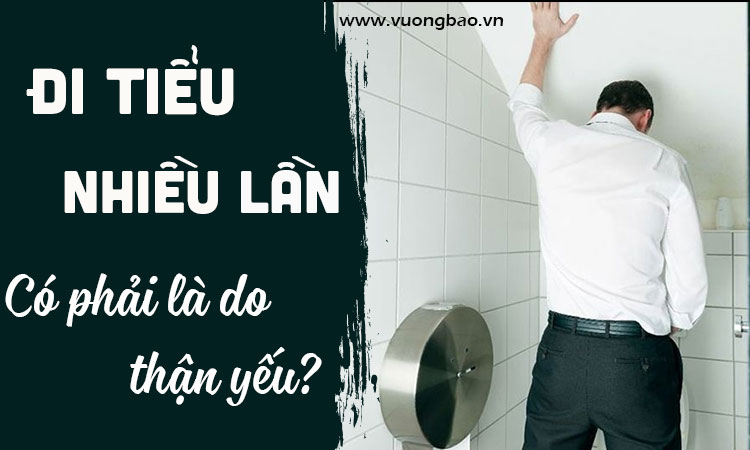 Đi tiểu nhiều lần có phải do thận yếu?