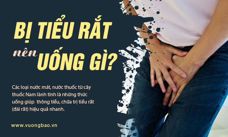 đái dắt uống gì