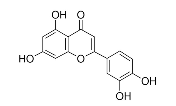 thành phần của cây đơn kim