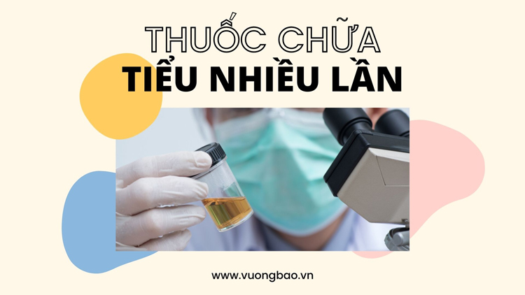 Thuốc chữa trị tiểu nhiều lần nào hiệu quả nhanh?