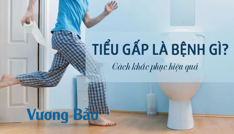 tiểu gấp là gì