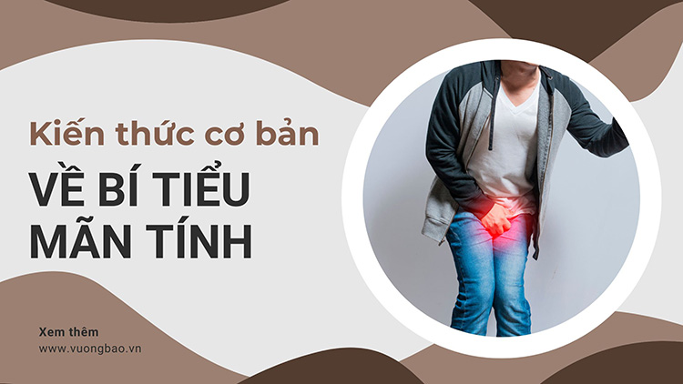 Kiến thức cơ bản về tình trạng bí tiểu mãn tính