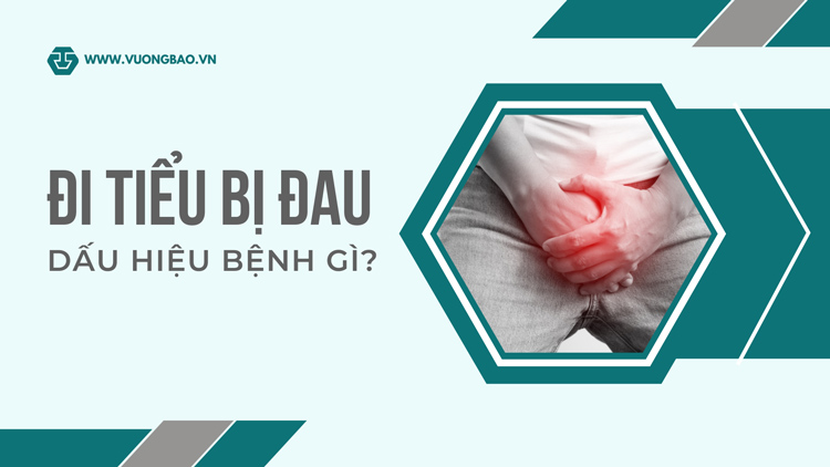 Đi tiểu bị đau là dấu hiệu bệnh gì?