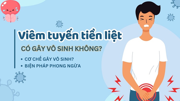 Viêm tuyến tiền liệt có gây vô sinh không